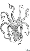 octopuses - squid Printbere Kleurplaten